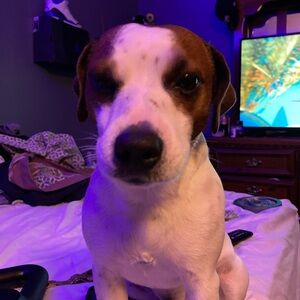 Meet your Posher, Noel